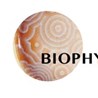 Stiftung Biophysikalische Medizin 