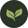 Naturnah gesund Gesundheits-/Ernährungsberatung