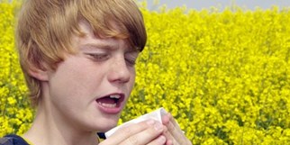 Allergieprävention für Kinder